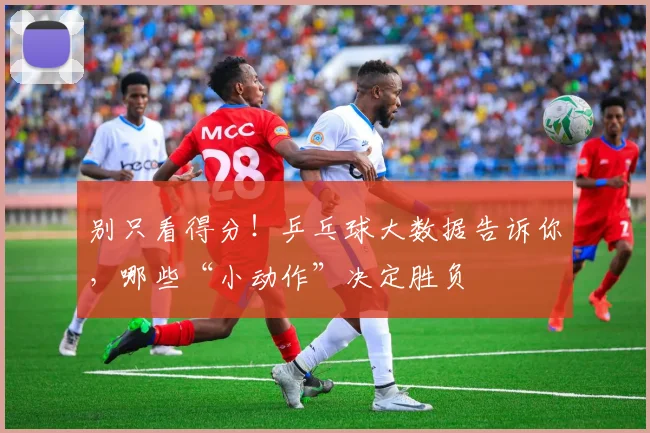 别只看得分！乒乓球大数据告诉你，哪些“小动作”决定胜负